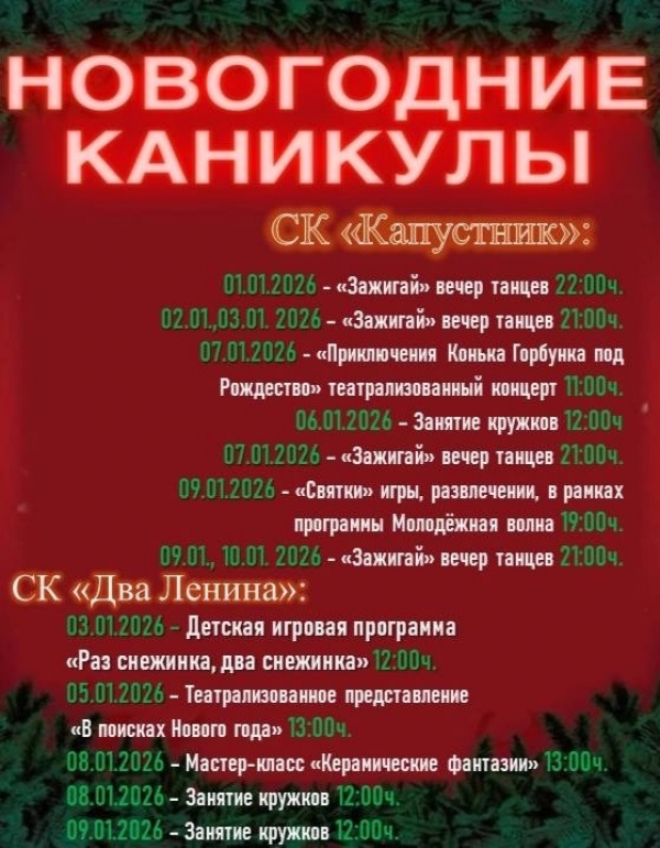 Новогодние каникулы