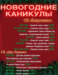 Новогодние каникулы